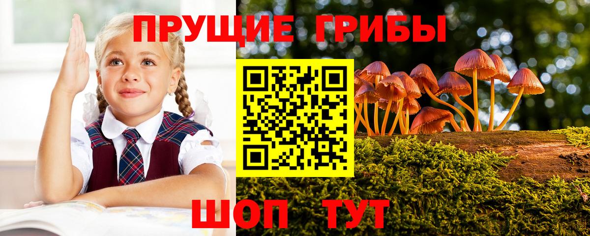 Галлюциногенные грибы MAGIC MUSHROOMS  Галлюциногенные грибы Psilocybe  Вход с VPN  Мценск 